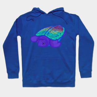 Proud Baby Turtle Hoodie